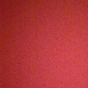 Meet your Posher, Diego